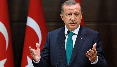 Erdoğan Türkiye Finlandiya maçını izledi