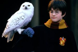 Harry Potter ve Felsefe Taşı 20 yaşında