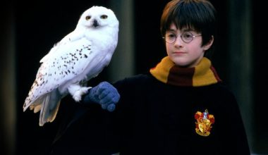 Harry Potter ve Felsefe Taşı 20 yaşında