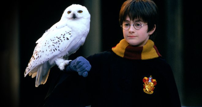 Harry Potter ve Felsefe Taşı 20 yaşında