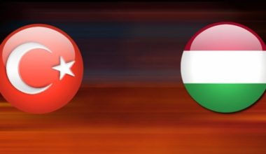 Macaristan: Türkiye son derece haklı
