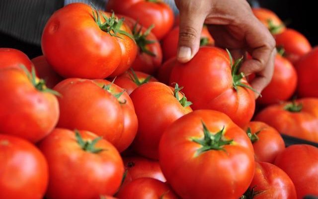 Rusya’dan domateslerin güvenliği engeli