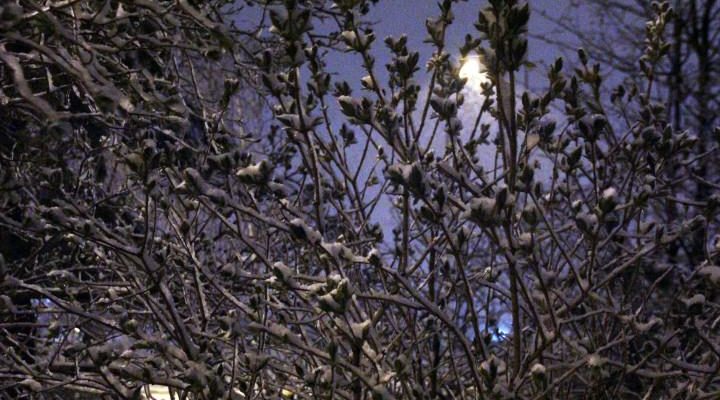 Erzurum’da baharın ilk günlerinde kar