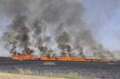 Mogan gölü çevresinde dev yangın 