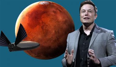 İnsanlar şimdi Mars’ı devralacak, Musk’un yeni stratejisi ortaya çıktı