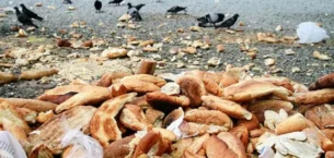 Günde 12 milyon ekmek çöpte