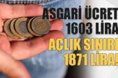 Türkiye’de açlık sınırı 1871 TL oldu