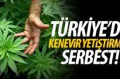 Kenevir yetiştirilecek il açıklandı