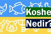 Kosher Nedir?