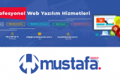 Web Geliştirme Hizmetlerinde Profesyonel Destek