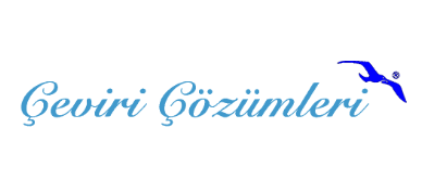 Korece Çeviri