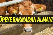 Hayvan Kulak Küpesi Sorgulama Nasıl Yapılır?