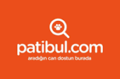 Toy Poodle’lar: Zarafetin ve Sevimliliğin Miniatur Kaniş Temsilcileri