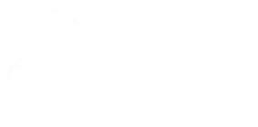 Parayla Tez Yazdırmak Yasal mı? Merak Edilen Gerçekler