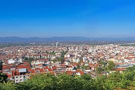 Manisa’da Kargo Ambarı Seçenekleri ve Hizmetler