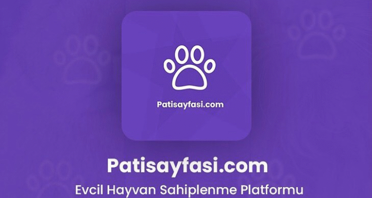 French Bulldog: Şehir Hayatının Vazgeçilmez Evcil Dostu