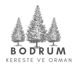 Bodrum’da Kalitenin Adı: Güvenilir Bodrum Kereste Tedariki