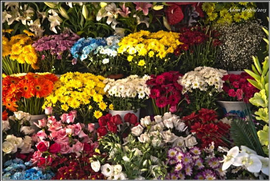 Çiçekçi Telefon Numarası Çiçek Sipariş