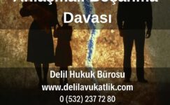Anlaşmalı Boşanma Davası Nasıl Açılır?
