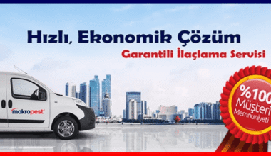 İstanbul’da Haşere ve Böcek İlaçlama Talebinin En Yoğun Olduğu 3 İlçe