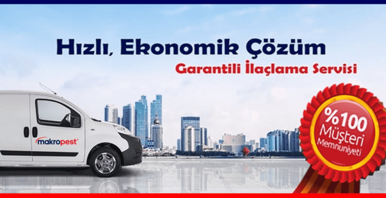 İstanbul’da Haşere ve Böcek İlaçlama Talebinin En Yoğun Olduğu 3 İlçe