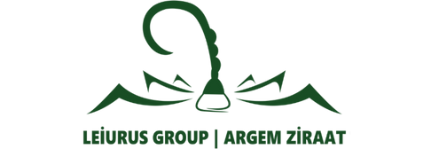 Yaşam Alanlarında Akıllı Dokunuşlar: İç Mimarlıkta Konforu Yeniden Tanımlamak