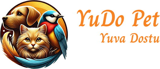 Evcil Hayvan Sahiplendirme: Umuda Açılan Kapı