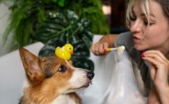 Kapsamlı Veteriner Hizmetleri