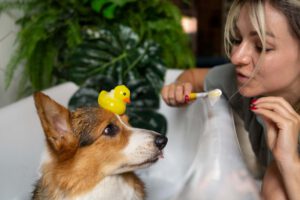 Kapsamlı Veteriner Hizmetleri