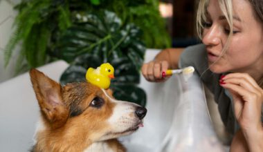 Kapsamlı Veteriner Hizmetleri