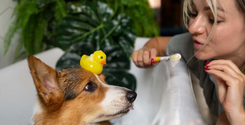 Kapsamlı Veteriner Hizmetleri