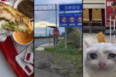 Ordu’da neden KFC Yok?