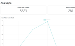 Google Ads Cloaker ile Reklamlarınız Kesintisiz Yayınlansın!