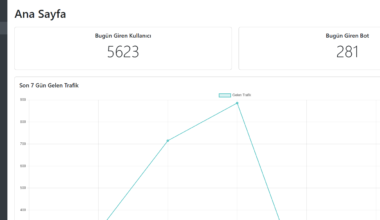 Google Ads Cloaker ile Reklamlarınız Kesintisiz Yayınlansın!