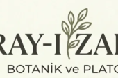 BAHÇELERİN YILDIZI: DIŞ MEKAN BİTKİLERİ İLE YENİ BİR DÜNYA