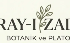 BAHÇELERİN YILDIZI: DIŞ MEKAN BİTKİLERİ İLE YENİ BİR DÜNYA