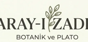 BAHÇELERİN YILDIZI: DIŞ MEKAN BİTKİLERİ İLE YENİ BİR DÜNYA