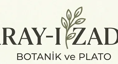 BAHÇELERİN YILDIZI: DIŞ MEKAN BİTKİLERİ İLE YENİ BİR DÜNYA