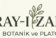 BAHÇELERİN YILDIZI: DIŞ MEKAN BİTKİLERİ İLE YENİ BİR DÜNYA