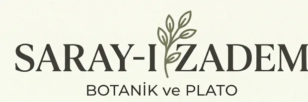 BAHÇELERİN YILDIZI: DIŞ MEKAN BİTKİLERİ İLE YENİ BİR DÜNYA